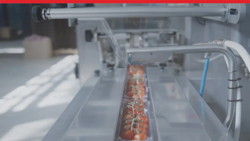 Industrial assembly line - Viscon Group, SOLIDWORKS customer