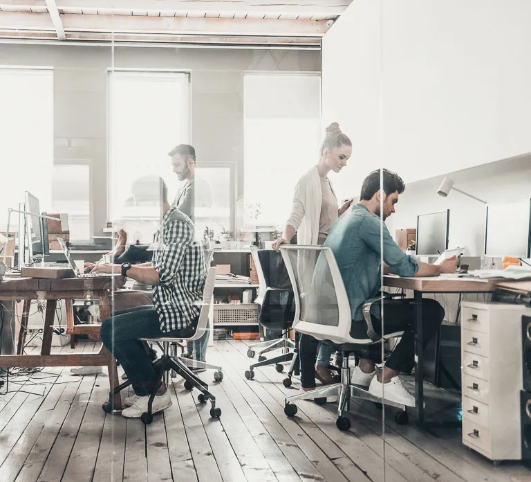 Startup Accelerators and Incubators Network